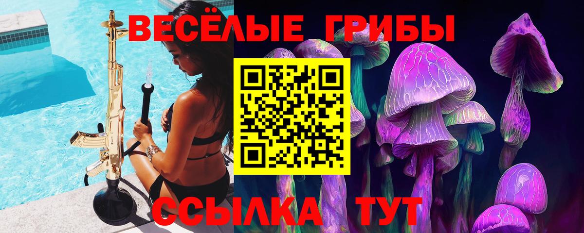 Арсеньев  Псилоцибиновые грибы Psilocybine cubensis  Вход с VPN  Псилоцибиновые грибы GOLDEN TEACHER 
