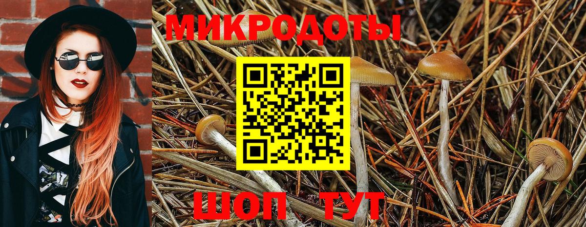 Галлюциногенные грибы мухоморы Арсеньев